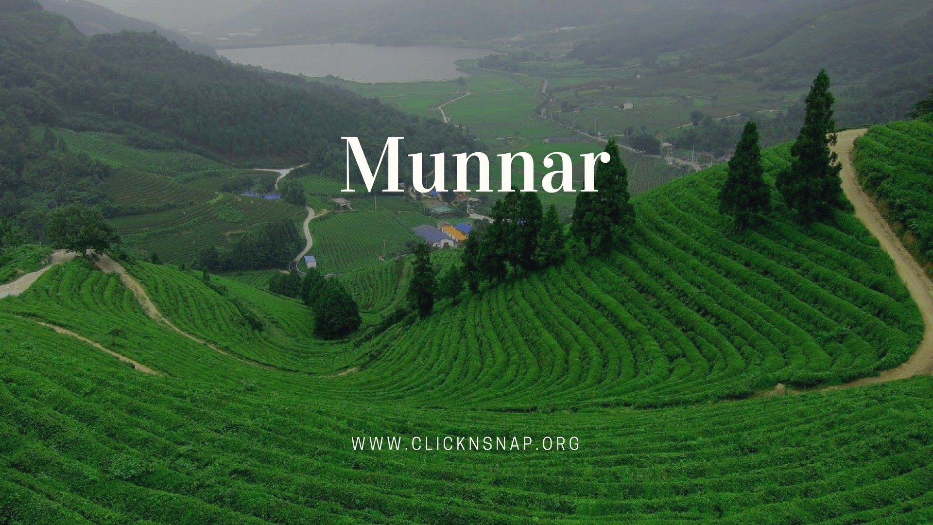 Munnar, Summer Holiday, India