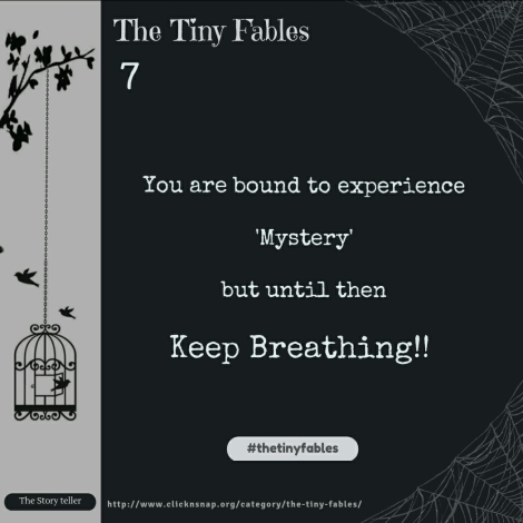 The Tiny Fables , quotes, sayings, stories, love quotes, friendship quotes, relationship quotes, breakup , Shayri, english poem, poetry, rhymes , happiness quotes, serenity, untold stories , fables, tiny fables