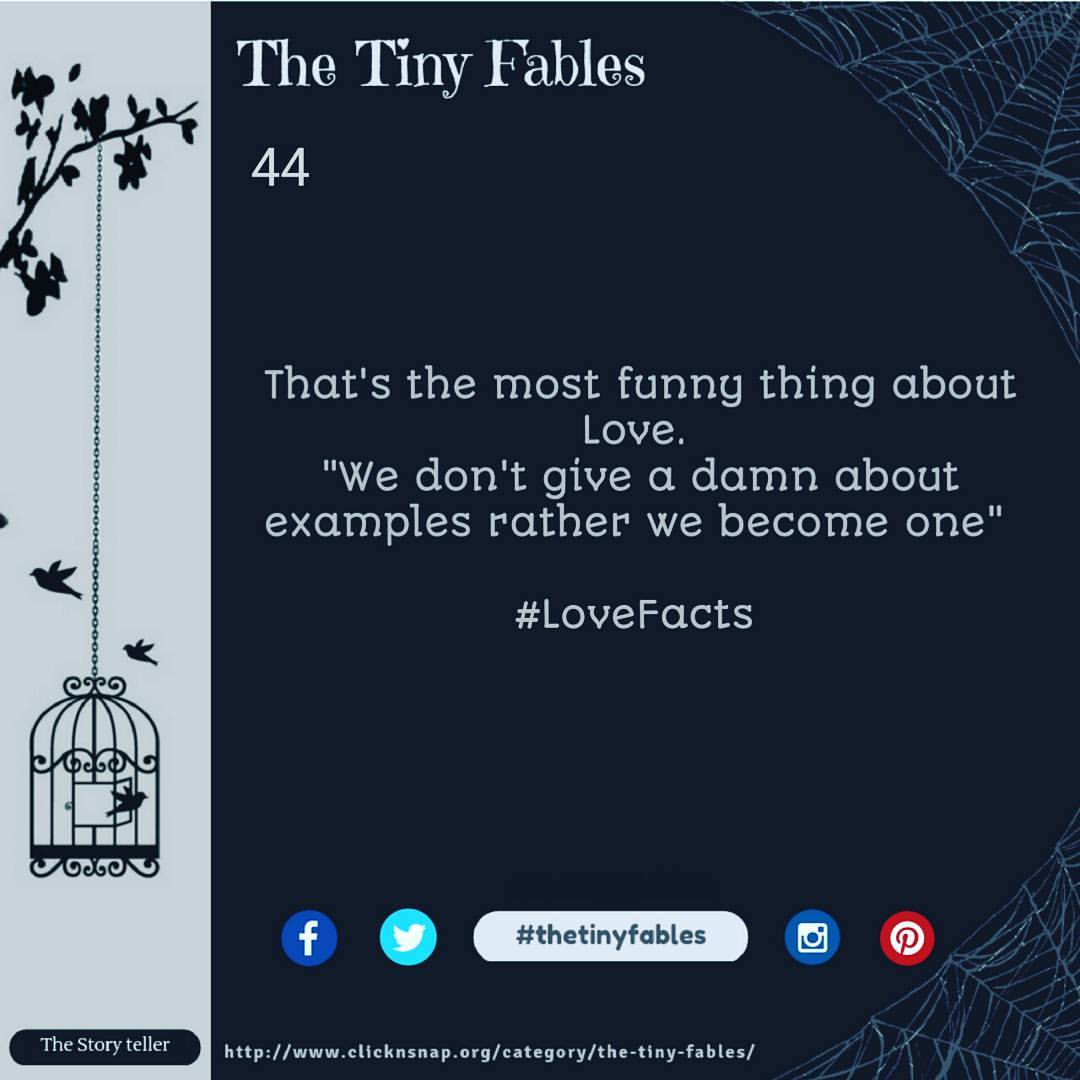 The Tiny Fables , quotes, sayings, stories, love quotes, friendship quotes, relationship quotes, breakup , Shayri, english poem, poetry, rhymes , happiness quotes, serenity, untold stories , fables, tiny fables