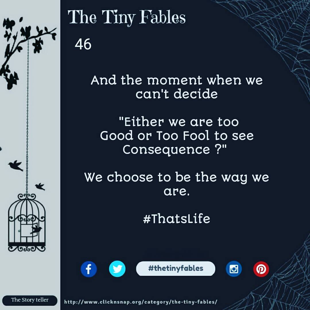 The Tiny Fables , quotes, sayings, stories, love quotes, friendship quotes, relationship quotes, breakup , Shayri, english poem, poetry, rhymes , happiness quotes, serenity, untold stories , fables, tiny fables